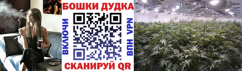 Бошки марихуана ГИДРОПОН Купить где Нефтекумск